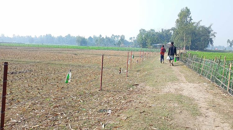 লালমনিরহাটের পাটগ্রাম উপজেলার দহগ্রাম সীমান্তের সরকার পাড়ার এলাকার বাংলাদেশ-ভারত প্রধান ৮ নম্বর পিলার এলাকায় নির্মিত কাঁটাতারের বেড়ায় খালি মদের বোতল ঝুলিয়ে দিচ্ছে বিএসএফ সদস্যরা। ছবি: আজকের পত্রিকা