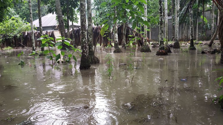 কৃষিজমির সঙ্গে সংযুক্ত নদী, খাল, নালা ভরাট হয়ে যাওয়ায় এবং কালভার্ট ও স্লুইসগেট অচল থাকায় সামান্য বৃষ্টিতেই সৃষ্টি হচ্ছে জলাবদ্ধতা। প্রতিবছর চাষিদের লক্ষাধিক টাকার ফসল নষ্ট হয়। ছবি: আজকের পত্রিকা
