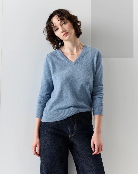 কাশ্মীরি ভি-নেক সোয়েটার। ছবি: বার্ডি