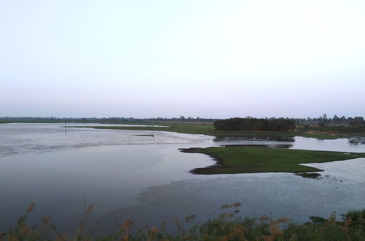 বাইক্কা বিল। ছবি: আজকের পত্রিকা