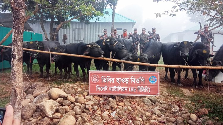 সিলেটে জব্দ চোরাচালানি পণ্য। ছবি: সংগৃহীত