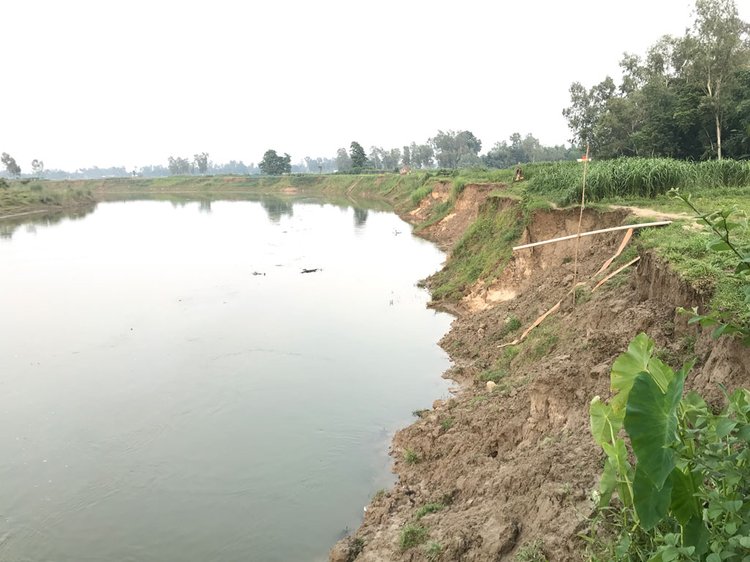 বগুড়ার শেরপুর উপজেলার খানপুর ইউনিয়নের রবিতলী গ্রামে বাঙ্গালী নদীতে বিলীন হচ্ছে ফসলি জমি। বুধবার বিকেলে তোলা। ছবি: আজকের পত্রিকা