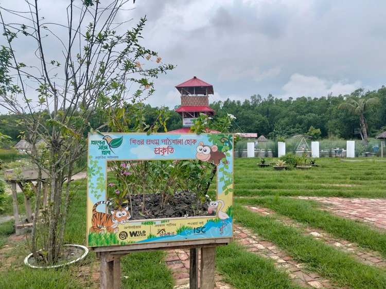 বরগুনার বেসরকারি পর্যটনকেন্দ্র সুরঞ্জনা ইকো ট্যুরিজম অ্যান্ড রিসোর্ট। ছবি: আজকের পত্রিকা