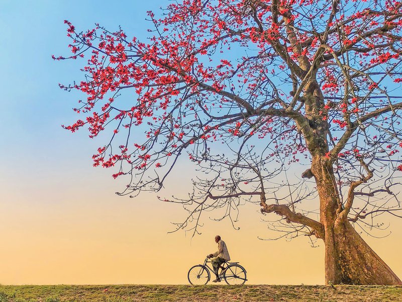 বসন্তের-বিকেলে-min