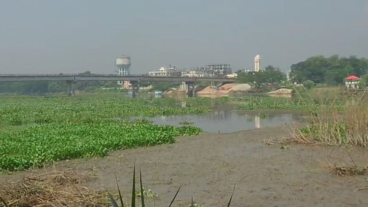 চাঁদপুর মেডিকেল কলেজের অবকাঠামো নির্মাণের জন্য ডাকাতিয়া নদীর পাড়ে প্রস্তাবিত জমি। ছবি: আজকের পত্রিকা