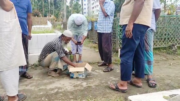 চাঁদপুর পৌর কবরস্থানে হঠাৎ নড়ে উঠল নবজাতক। ছবি: আজকের পত্রিকা