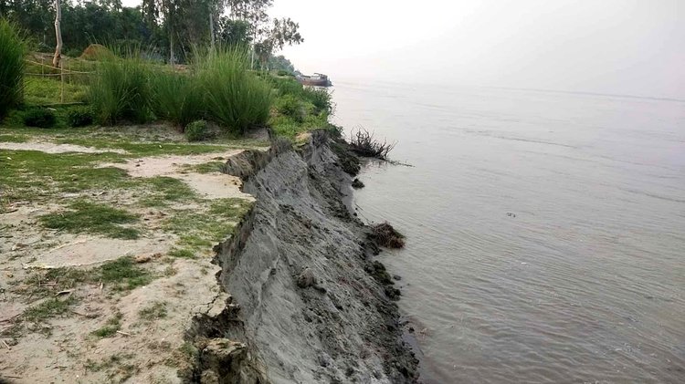 যমুনা নদীর ভাঙনের কবলে বাঘুটিয়া এলাকা। ছবি: আজকের পত্রিকা
