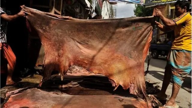 কোরবানির পশুর চামড়া খাওয়া যাবে কি