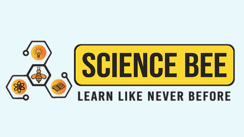 cropped-New-Bee-Logo-Black-01