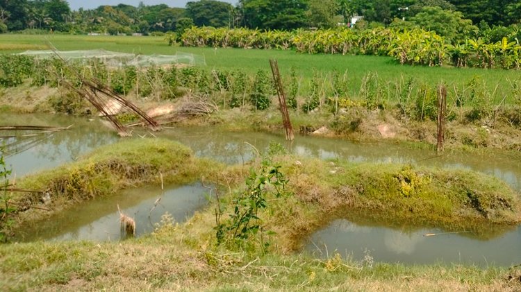 নতুন ভবনের আশ্বাসে ব্যবহারযোগ্য পুরোনো স্কুল ভবন ভেঙে ফেলা হয়।