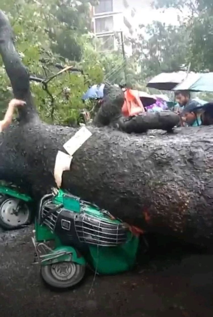 সিএনজি চালিত অটোরিকশার ভেতরে আটকা পরেছিলেন নারী। ছবি: আজকের পত্রিকা