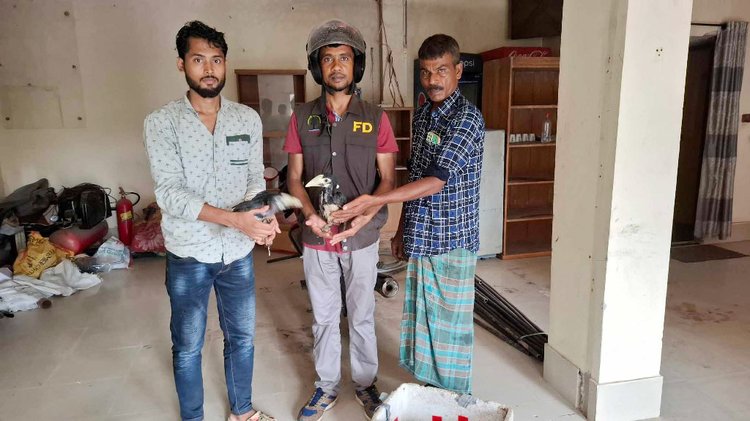 উদ্ধার হওয়া ধনেশ ও টিয়া পাখিসহ বন কর্মকর্তারা। ছবি: আজকের পত্রিকা