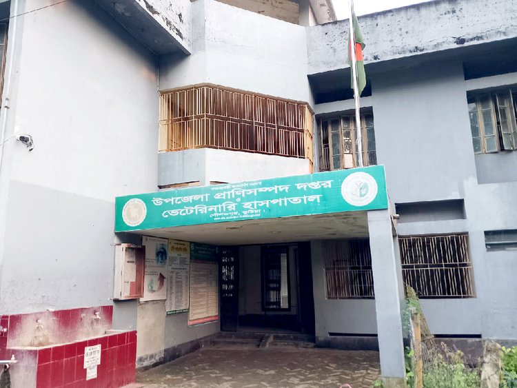 দৌলতপুর উপজেলা প্রাণিসম্পদ কার্যালয় ও পশু হাসপাতাল। ছবি: আজকের পত্রিকা