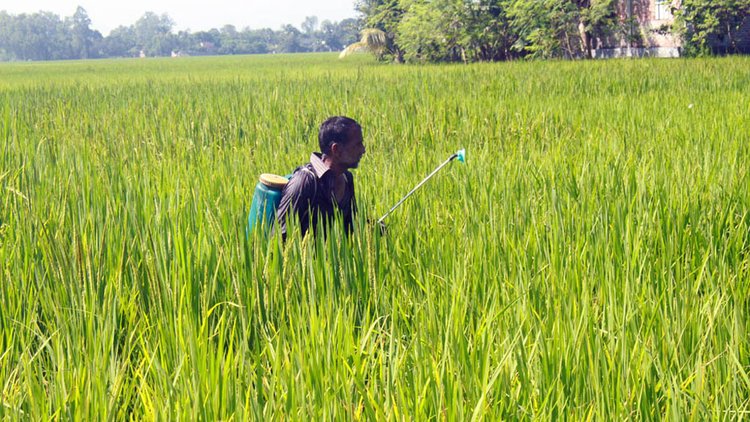 দিনাজপুর-৩