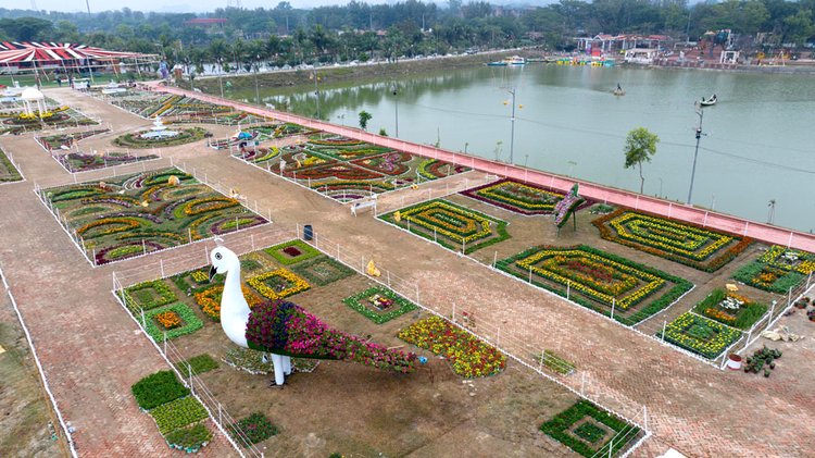 বিভিন্ন ফুল দিয়ে সাজানো ডিসি পার্ক। আজকের পত্রিকা