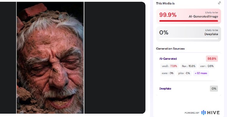 ভাইরাল ছবির এআই টেস্ট। ছবি: স্ক্রিনশট