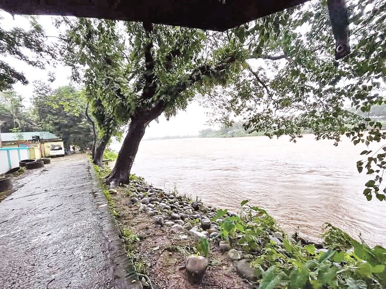 টানা বৃষ্টিতে সিলেটের কোম্পানীগঞ্জ উপজেলার ধলাই নদ পানিতে টইটম্বুর। ছবিটি গতকাল বিকেলের। ছবি: আজকের পত্রিকা