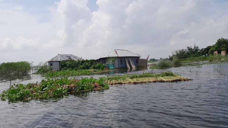 দৌলতপুরের রামকৃষ্ণপুর ইউনিয়নের সোনাতলা এলাকা থেকে আজ সকালে তোলা। ছবি: আজকের পত্রিকা