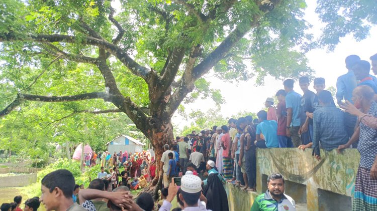 পুড়ল শতবর্ষী গাছ, ‘অলৌকিক’ ভেবে দাঁড়িয়ে দেখল উৎসুক জনতা। ছবি: আজকের পত্রিকা