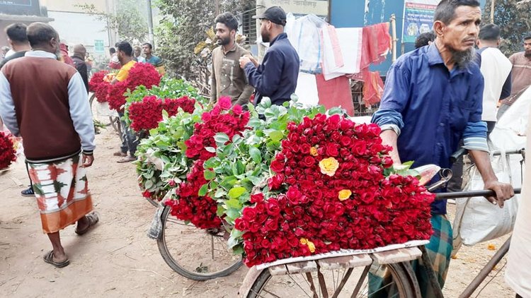 ২১ ফেব্রুয়ারি আন্তর্জাতিক মাতৃভাষা ও শহীদ দিবস উপলক্ষে গতকাল বুধবার যশোরের ঝিকরগাছার গদখালীতে ফুল বেচাকেনা। ছবি: আজকের পত্রিকা