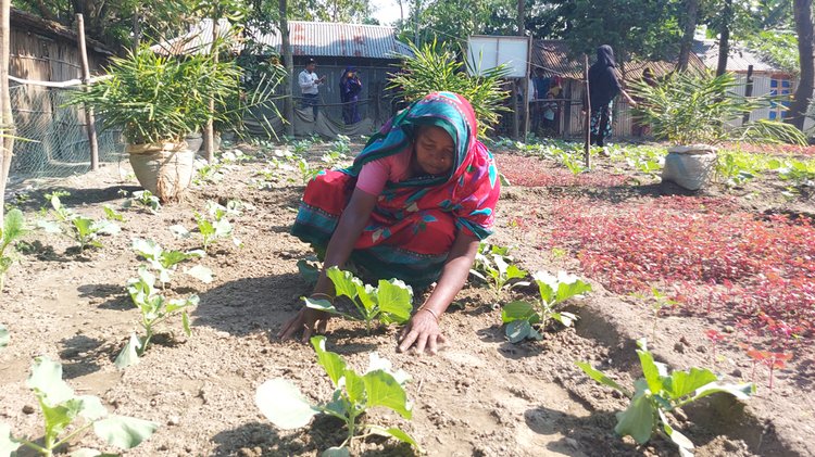 কৃষি খেতে কাজ করছেন এক নারী। ছবি: আজকের পত্রিকা