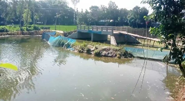 সংযোগ সড়ক ছাড়া সেতু নির্মাণ করে ঠিকাদারি প্রতিষ্ঠান। এতে দুর্ভোগে পড়ে স্থানীয় বাসিন্দারা। ছবি: আজকের পত্রিকা