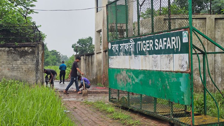 গাজীপুর সাফারি পার্কের কোর সাফারির সীমানাপ্রাচীর সংস্কার। ছবি: আজকের পত্রিকা