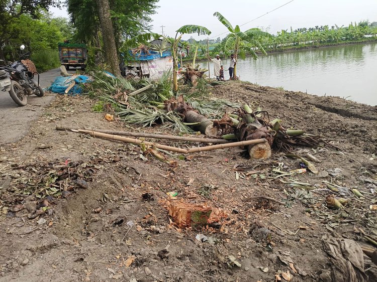 ১০টি গাছ কেটে সেখানে দোকানঘর নির্মাণ শুরু করেন আবু সাইদ। ছবি: আজকের পত্রিকা