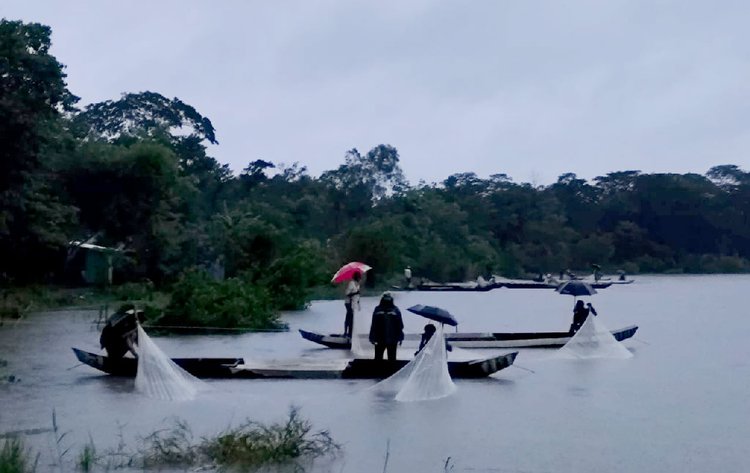 শুক্রবার ভোর থেকে হালদা নদীতে মাছের ডিম সংগ্রহ করছেন স্থানীয়রা। ছবি: আজকের পত্রিকা