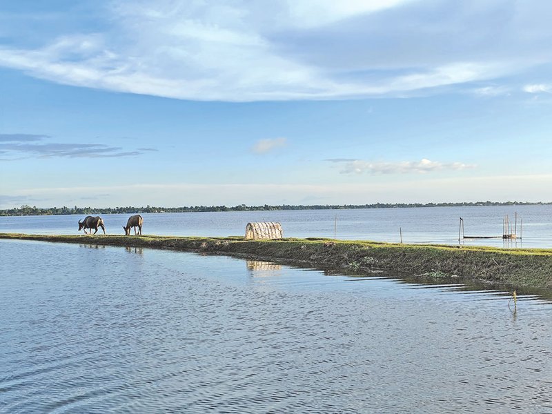 হাওর