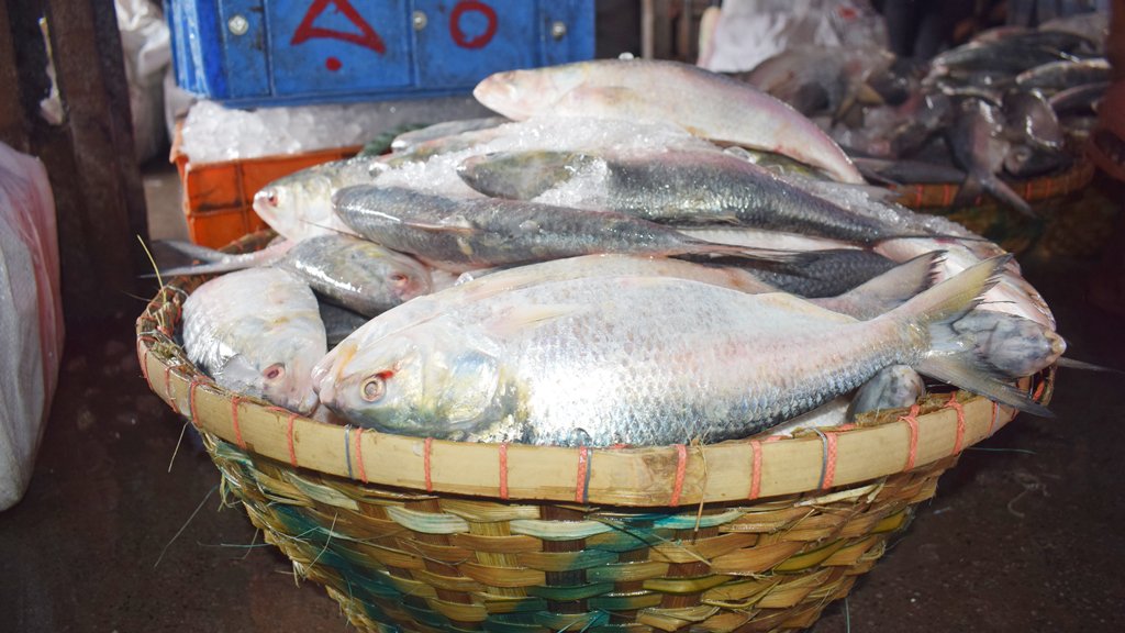 এবার দুর্গাপূজায় ভারতে ১২০০ টন ইলিশ রপ্তানির সিদ্ধান্ত