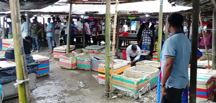 গত কয়েকদিন ধরে জেলেদের জালে ইলিশ বেশি ধরা পড়ায় মাছঘাটগুলোতেও সরবরাহ বেড়েছে ইলিশের। ছবি: আজকের পত্রিকা