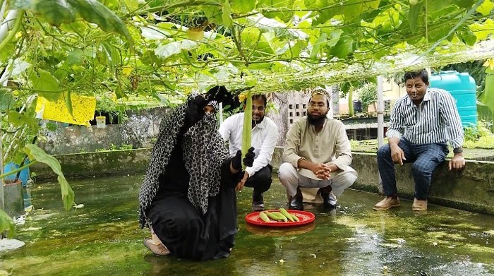 ছাদবাগান থেকে সবজি তুলছেন কৃষি কর্মকর্তা ও দপ্তরের অন্য কর্মকর্তারা। ছবি: আজকের পত্রিকা