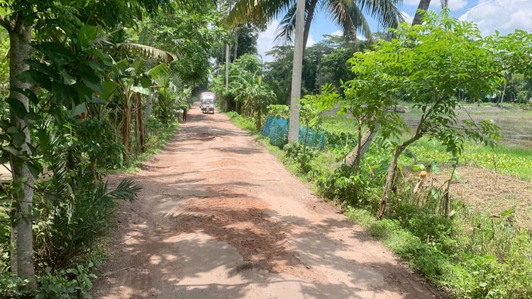 ঝালকাঠি সদর উপজেলার সংগ্রামনীল পুলিশ বক্স থেকে সারেঙ্গল বাজার পর্যন্ত বেহাল সড়ক। ছবি: আজকের পত্রিকা