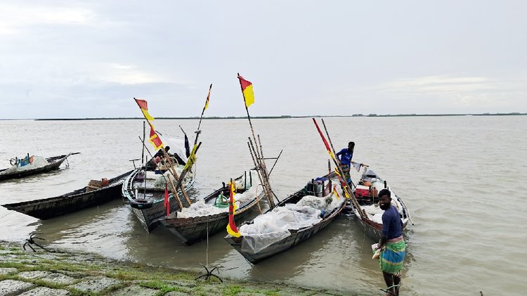 চরভৈরবী মাছঘাটে ইলিশ নিয়ে আসা জেলে নৌকা। ছবি আজকের পত্রিকা