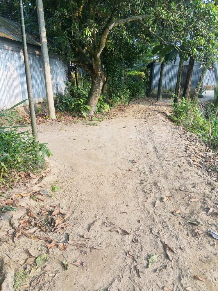 বকশীগঞ্জের খেওয়ারচর খোকনের বাড়ি থেকে বাতেনের বাড়ি পর্যন্ত রাস্তা সংস্কার প্রকল্পে নামমাত্র মাটি কাটা হয়েছে। গতকাল বিকেলে তোলা। ছবি: আজকের পত্রিকা
