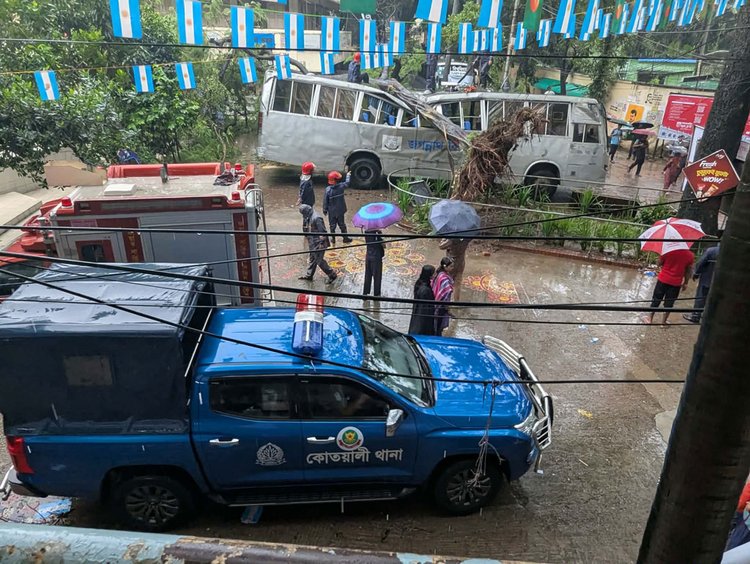 বৃষ্টি ও বাতাসের তীব্রতায় গাছ উপড়ে গিয়ে বিশ্ববিদ্যালয়ের বাসের ওপর পড়ে। ছবি: আজকের পত্রিকা