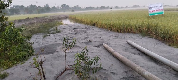 খুলনার দাকোপ উপজেলায় জমি দখল করতে অবৈধভাবে ফসলি জমিতে বালু ভরাট করা হয়েছে। তারপর সেই জমিতে বেসরকারি শিপইয়ার্ড নির্মাণের উদ্যোগ নেওয়া হচ্ছে বলে অভিযোগ করেছেন ভুক্তভোগীরা। ছবি: আজকের পত্রিকা