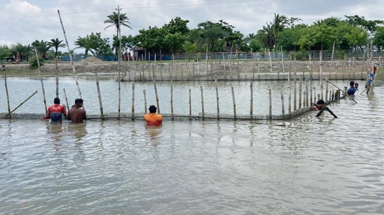 তিন দশক পর আজ খুলনার পাইকগাছায় নাছিরপুর খালটি উন্মুক্ত করে দেওয়া হয়। মাছ ধরার আনন্দে উচ্ছ্বাস প্রকাশ করেন এলাকাবাসী। ছবি: আজকের পত্রিকা