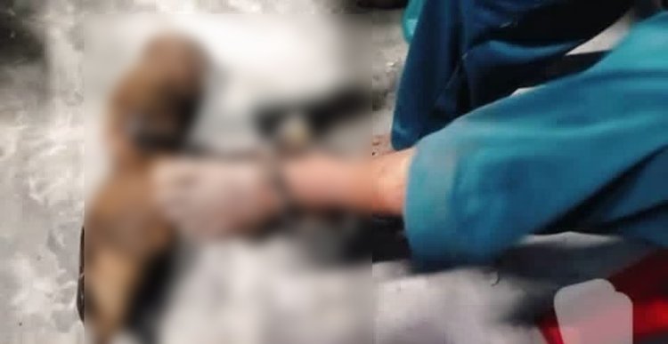 শিশুর পা শিকল দিয়ে বেঁধে রাখা হয়। ছবি: সংগৃহীত