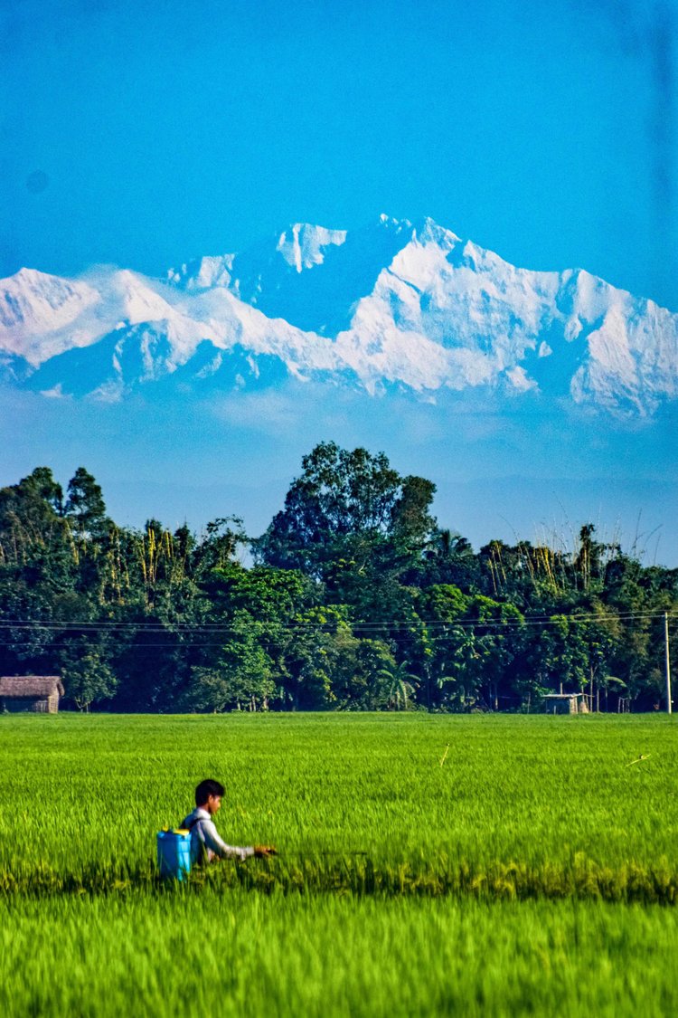 ঠাকুরগাঁওয়ের বালিয়াডাঙ্গী উপজেলার লাহিড়ী ফাঁসিদহ থেকে দেখা মিলল হিমালয়ের কাঞ্চনজঙ্ঘার দুর্লভ দৃশ্য। ছবি: আব্দুস শাহীন