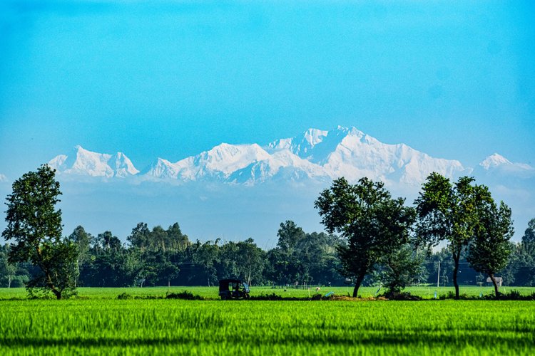 ঠাকুরগাঁওয়ের বালিয়াডাঙ্গী উপজেলার লাহিড়ী ফাঁসিদহ থেকে দেখা মিলল হিমালয়ের কাঞ্চনজঙ্ঘার দুর্লভ দৃশ্য। ছবি: আব্দুস শাহীন