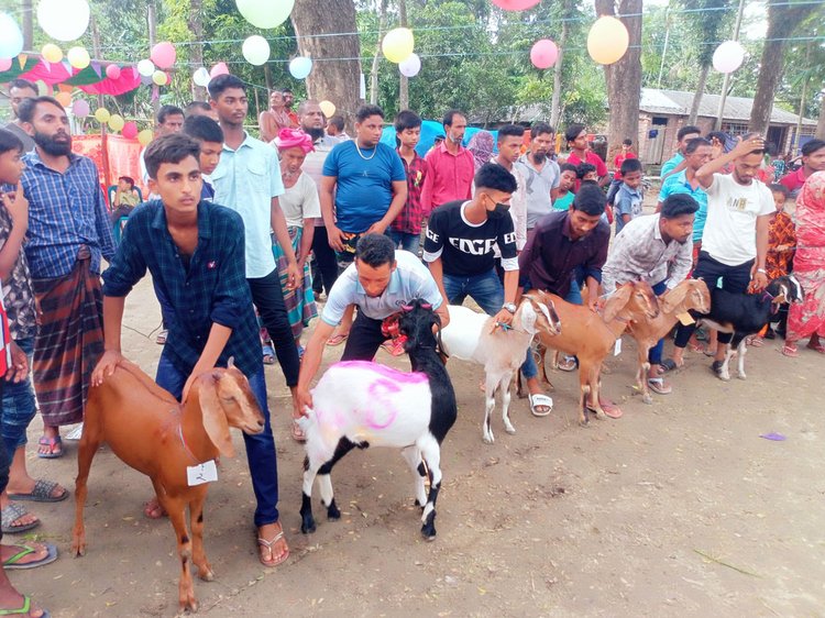 যশোরের কেশবপুর উপজেলার আটন্ডা গ্রামে আজ শুক্রবার ছাগলের দৌড় প্রতিযোগিতা হয়। ছবি: আজকের পত্রিকা
