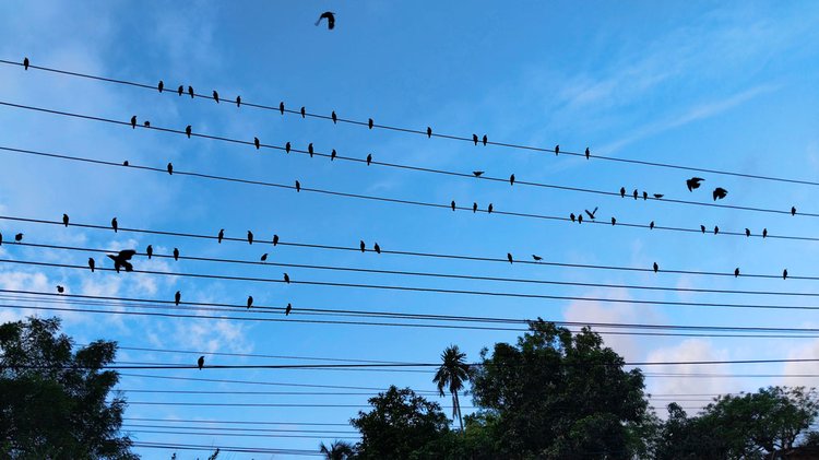 ছবি: আজকের পত্রিকা