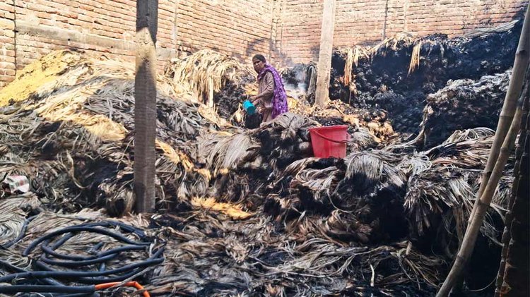 আগুনে ক্ষতিগ্রস্ত পাটিকাবাড়ি ইউনিয়নের যুবলীগ নেতা রুহুল আমিনের পাটের গুদাম। ছবি: আজকের পত্রিকা