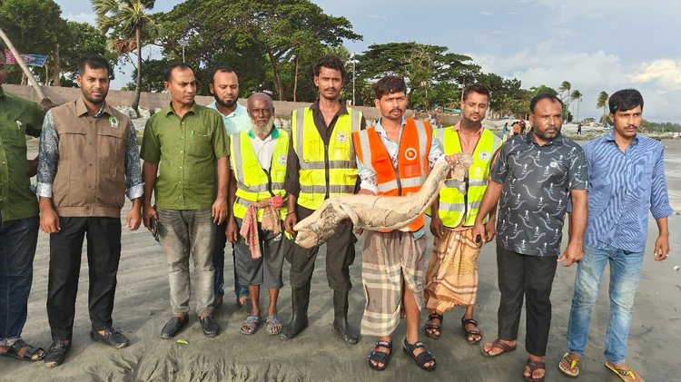 ছবি: আজকের পত্রিকা