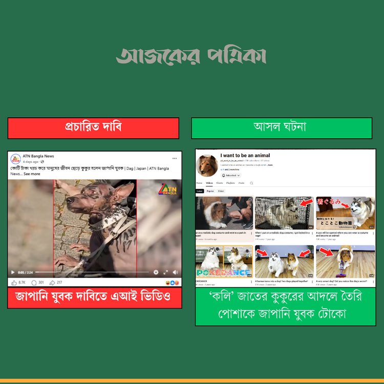 কম্পেরিজন: আজকের পত্রিকা
