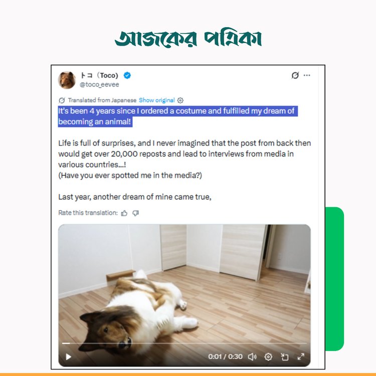 টোকোর এক্স পোস্ট। ছবি: স্ক্রিনশট