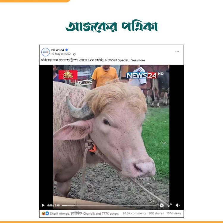 নিউজটোয়েন্টিফোরের প্রতিবেদন। ছবি: স্ক্রিনশট