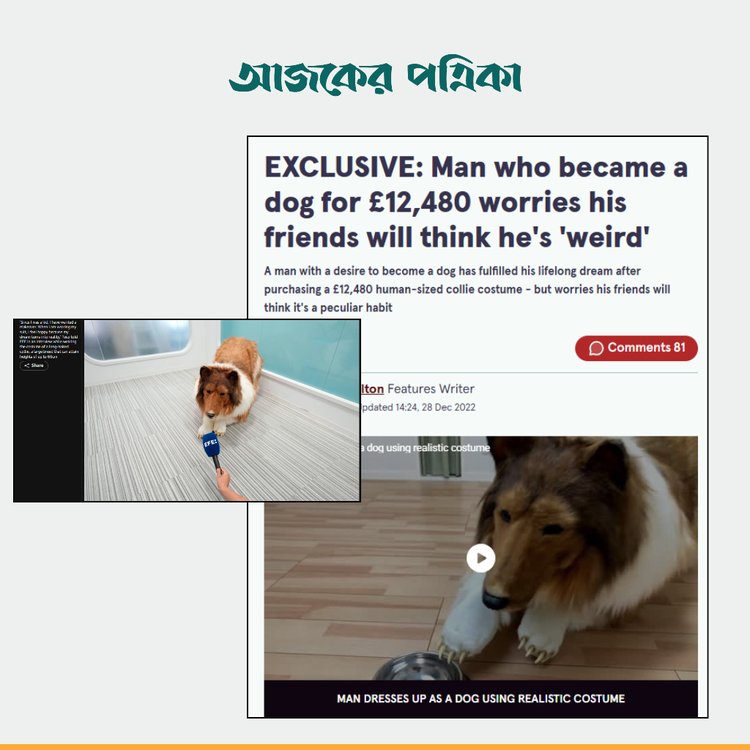 গনমাধ্যমের প্রতিবেদন। ছবি: স্ক্রিনশট